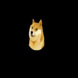 #Doge to the moon!