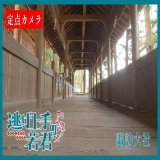 緊急企画 #逃げ若 カメラその六  諏訪大社から配信  コチラをチェック   何かが見つかる  #逃げ上手の若君