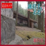緊急企画 #逃げ若 カメラその七  諏訪大社の別視点から配信  コチラをチェック   荘厳な場所で何かを発見  #逃げ上手の若君
