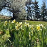 Happy Monday #DMV folks! The sun&rsquo;s shining bright! Have a lovely week   #Spring #Monday #Morning #Sunny  #GoodVibes #Nature #MondayMotivaton