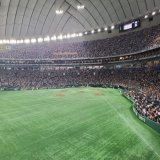 #東京ドーム #中日ドラゴンズ