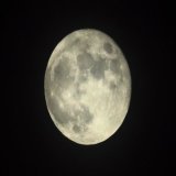 満月が夜空で輝いています。 ちょうど満月は10日明け方。ほぼまんまるの月をぜひ見上げてみてください