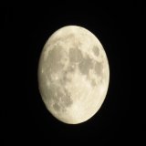 月が夜空で輝いています。 ちょうど満月となるのは10日明け方です。満ちゆく月をお楽しみください