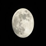フルムーンイブ！ 明日8日はなんと2022年最後の満月。今宵はほぼ満月が夜空で輝いています。ぜひ夜空を見上げてみてください
