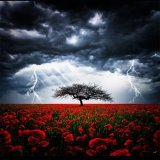 Good evening. Lightning, Thunder and Rain Clouds. #NaturePhotograhpy .   Kathrin Federer