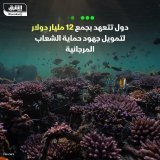 \ud83d\uddbc تعتزم الدول الأعضاء في المبادرة الدولية للشعاب المرجانية، جمع 12 مليار دولار لح...