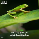\ud83d\uddbc أفادت دراسة حديثة بأن تغير المناخ هو المحرك الرئيسي الجديد الذي يدفع 40.7% من البر...