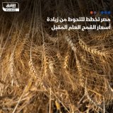 \ud83d\uddbc مصر تخطط للتحوط من زيادات أسعار القمح العالمية العام المقبل، بحسب وزير المالية ...