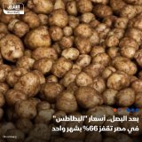 \ud83d\uddbc أزمة جديدة برزت في مصر تتمثل في ارتفاع أسعار البطاطس بنحو 66% خلال شهر واحد، ليصل ...