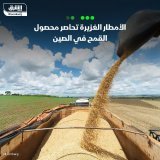 \ud83d\uddbc من المتوقع تضرر إنتاج الحبوب بمجموعة من أكبر مناطق الزراعة في الصين، بسبب الأمط...
