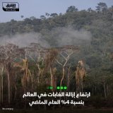 \ud83d\uddbc تقرير "تقويم إعلان الغابات" الذي صدر اليوم الثلاثاء، أشار إلى أن إزالة الغابات ف...