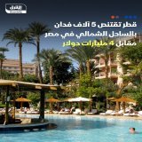 \ud83d\udccc مشروع سياحي قطري جديد في مصر بـ4 مليارات دولار \ud83d\udccc اتفقت قطر على شراء 5000 فدان بمنطقة "علم الروم" بالساحل الشمالي في مصر لإقامة مشروع سياحي \ud83d\udcccقيمة الصفقة بلغت 4 مليارات دولار، بحسب مسؤول تحدث لـ"الشرق" \ud83d\udcccالح