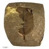FOSSIL ZOMBIE ANT!  Possibly one of the coolest fossils ever, this 48 million year old leaf has tiny paired scars from mind-controlled ants infected with Ophiocordyceps fungus.  Hope you enjoyed the #Paleomoji Spooktacular  Enjoy #FossilFriday.