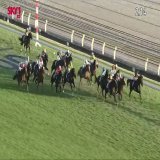 Vela Azul dives through late to take the split and the #JapanCup under Ryan Moore. #ジャパンカップ  #ヴェラアズール