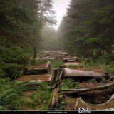 Some of the most fascinating abandoned places in the world you don&rsquo;t know about   Number 7 &amp; 12 will shock you  A Thread   1. Abandoned Traffic jam in Belgium