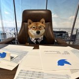 The new CEO of Twitter is amazing- $FLOKI  Twitter to let users trade #Bitcoin&nbsp; and crypto starting today in partnership with eToro  @elonmusk in an interview with the BBC, &ldquo;I keep telling you I&rsquo;m not the CEO, my dog is the CEO of Tw