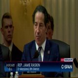 Raskin: "POTUS has an affirmative and primary constitutional duty to act to take care that the laws be faithfully executed. Nothing could be a greater betrayal of this duty than to insist in insurrection against the constitutional order."
