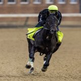 Final @KentuckyDerby preparations for Crown Pride! #KyDerby #競馬 #ケンタッキーダービー