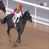 Japanese @KentuckyDerby contender! Crown Pride's chances at Churchill Downs are debated by @loomsboldly and @hayleyjanemoore #KyDerby #競馬 #ケンタッキーダービー