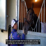 Titleholder #タイトルホルダー Japan's Arc hero this Sunday?  Get to know the Japanese superstar ready to take @paris_longchamp by storm! #凱旋門賞 #QPAT