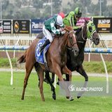 First Flies! Relishing the step up to 2000m, the promising mare First Appearance recorded a barnstorming impressive victory at Pakenham on Thursday evening. Full article: