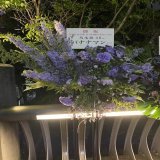 初めての乃木坂ライブがこんなに豪華になるとは、、 皆さんお疲れ様でした！ バナナマンもしっかり来てましたね！ (夜に光り輝くバナナマン祝花) #乃木坂10thバスラ  #バナナマン