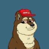Day 78 in a row of tweeting @elonmusk showing him my @DogeClub_NFT until he says they&rsquo;re cool #DOGC #DOGE #Dogecoin