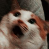 Буданов: ........... русня: