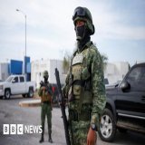 Two survivors of Mexico kidnapping recovering in US hospitals