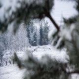 Какой сегодня праздник: 24 февраля 2023 года .  Подробнее: