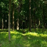 Какой сегодня праздник: 12 июня 2023 года #Луна #календарь #народные_приметы
