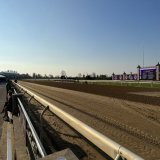 The calm before the storm&hellip;Breeders&rsquo; Cup 2022 is here! #BC22