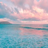 "Whatever words we utter should be chosen with care for people will hear them and be influenced by them for good or ill." Buddha  #MondayMotivation #SuccessTRAIN #MondayMorning #Kindness