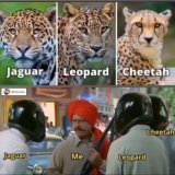 #HeraPheri kitni popular hai?  Bina uska dialogue bole aapko hasi aayegi