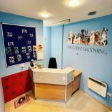 If anyone in Paisley needs a Dog Groomer try Dawg Dayz on Kilnside Road. After 20 years dog grooming my wife&rsquo;s just opened her own salon.