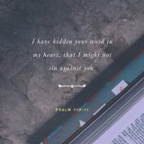 &ldquo;I have hidden your word in my heart that I might not sin against you.&rdquo; Psalms 119:11 NIV  #AEWDynamite #الخميس_الونيس #ツインテールの日 #SpendWisely #WorldWetlandsDay #RobodebtRC #TheChallenge38 #LetzteGeneration  #RomaCremonese #Donzelli #taeko