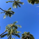 #SaturdayMorningWalk #pacificOcean #luckyWeLiveHawaii Got outside to walk for the first time in a while. My energy levels have been low lately. This helped.   #outside #ocean