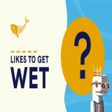those who are inside you have a chance to become a common fish in 5 minutes. Notif ON #WAMI