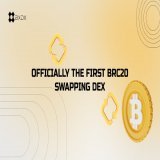 Our Docs are live   Learn how @BitX_Brc20 works now!!!    #brc20 #ltc20 #drc20 #ordinals #bitcoin