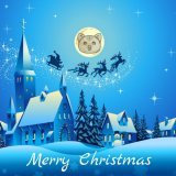 I sent an e-mail to Santa.  I said send me #bobainu.  Santa answered and said I will give you a gift @inu_boba.