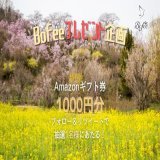 Bofeeプレゼント企画Day720  やってまいりましたどにーちょCP WBC日本の試合日程 3/11 チェコ戦 3/12 オーストラリア戦  3/13 午前11:59締切 ／ Amazonギフト券1000円分が 抽選で1名様に当たる ＼  \u25bc応募方法\u25bc \u2460bofee_officialをフォロー \u2461本投稿をリツイート  毎日懸賞アマギフキャンペーン！