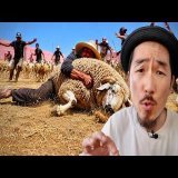 Chaos total dans une ferme marocaine \ud83c\uddf2\ud83c\udde6 : la chasse aux moutons pour l'Aïd