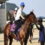 明日はニエル賞です。 ダービー馬。 16年のマカヒキは勝ちました。 13年のキズナは武豊騎手騎乗で勝ちました。 今年はドウデュースが武豊騎手とともに挑みます。 凱旋門賞へ向けての始動戦。 遠く離れたパリロンシャン競馬場で、このコンビが走ります。 みんなの応援が力になるはずです。 がんばれ！！