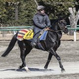 中山記念に出走予定のヒシイグアスです。 前走はタイトルホルダーの２着の宝塚記念。 それ以来の出走です。 中山はバリバリの好成績です。 ４勝し、そのうち重賞２勝。 21年中山記念の覇者です。 漆黒の馬体は迫力満点。 でも顔はかわいらしい。 そのギャップ。 迎え撃つぞ。 がんばれ！