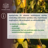 Apstiprināta ES atbalsta saņemšanas kārtība nelabvēlīgu klimatisko apstākļu seku mazināšanai augļkopjiem, dārzeņkopjiem un sēklaudzētājiem, ja ieņēmumi 2025. gadā par 1 ha samazinājušies par 20% pret references perioda ieņēmumiem uz 1 ha. Lasi: