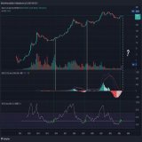 Bitcoin has never made a new low after the Monthly  RSI crossed 50.  ...Or when the monthly MACD crossed over. Bull market is here.