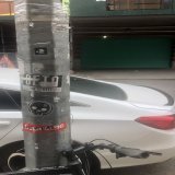 Bitcoin Monkes are waiting for the airdrop in NYC.  Spot the monke