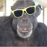 Public Mint ends at 9 AM EST.  If we exceed 2.85k with lots of pending transactions we may need to disable the mint button early.   We are going to burn the rest of supply  afterwards.  Happy minting and good luck