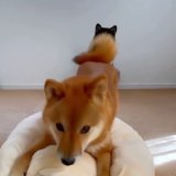 Something to brighten your day..