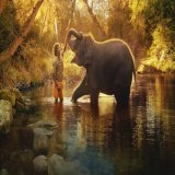 جائزة الأوسكار لأفضل فيلم وثائقي قصير تذهب لفيلم "The Elephant Whisperers" ، الفيلم متوفر للمشاهدة على نتفليكس .   يكرس بومان وبيلي ، زوجان في جنوب الهند ، حياتهما لرعاية فيل طفل يتيم اسمه راغو ، لتكوين عائلة لا مثيل لها . يختبر الوثائقي الحاجز بين ع